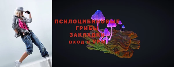 круглые Арсеньев