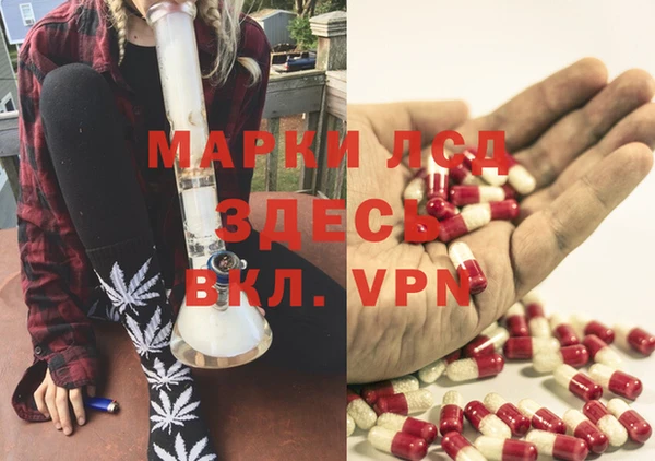 прущие грибы Армянск