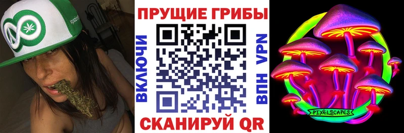 как найти наркотики Реутов Галлюциногенные грибы Magic Shrooms